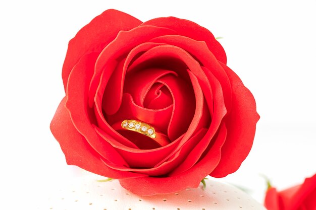 Rose rosse e anelli d'oro su bianco