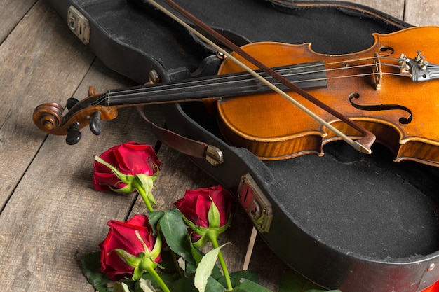 Rose rosse e un violino