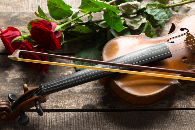 Rose rosse e un violino