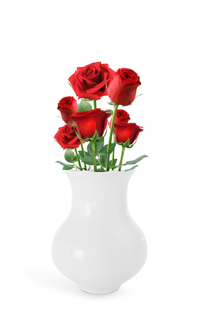 Rose rosse in vaso su sfondo bianco