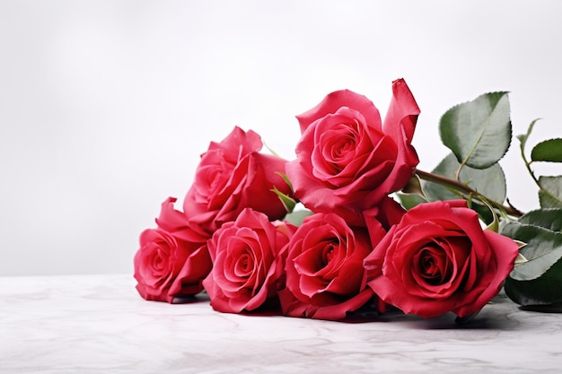 Rose rosse sfondo