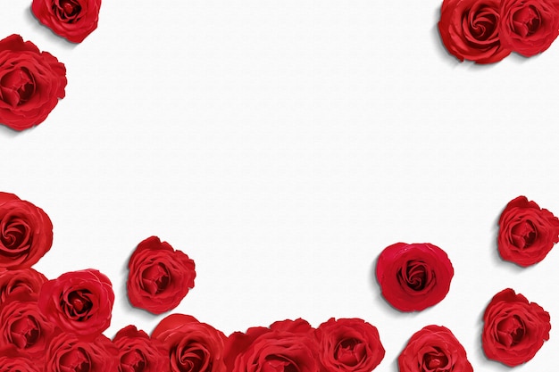 Rose rosse sul pavimento