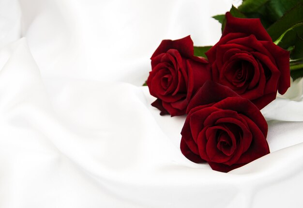 Rose rosse