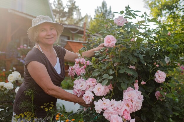 Rose sboccianti preoccupantesi del cespuglio del giardiniere femminile caucasico maturo emozionante nell'iarda