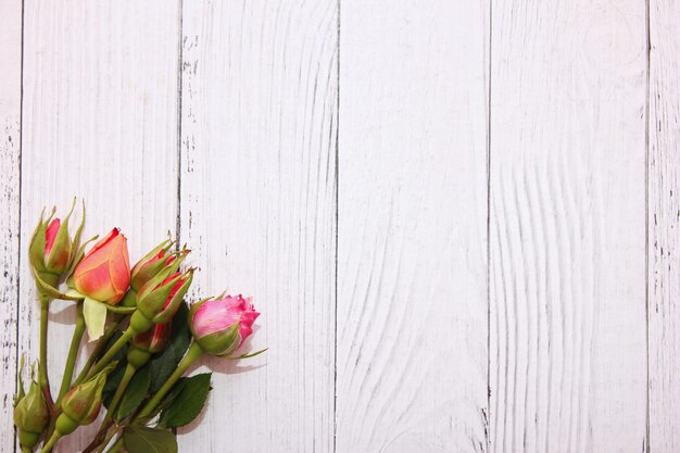 Rose su fondo di legno bianco