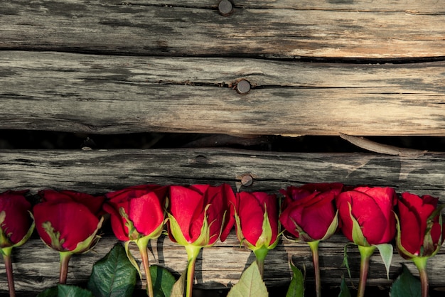 Rose su fondo di legno marrone. sfondo del concetto di giorno di San Valentino e il concetto di amore.