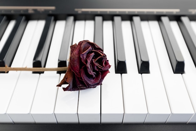 Rose su un pianoforte