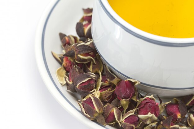 Rose Tea Cup con boccioli di rosa tea