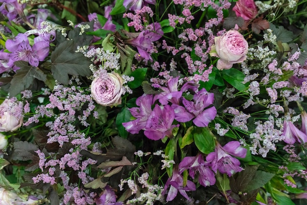 Rose viola e altri fiori.