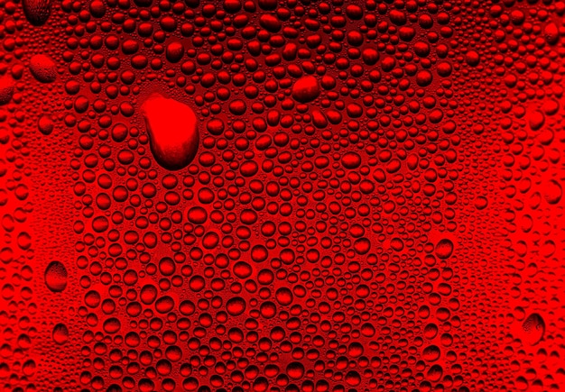 rosso macro goccia d'acqua textureGocce d'acqua su sfondo rosso