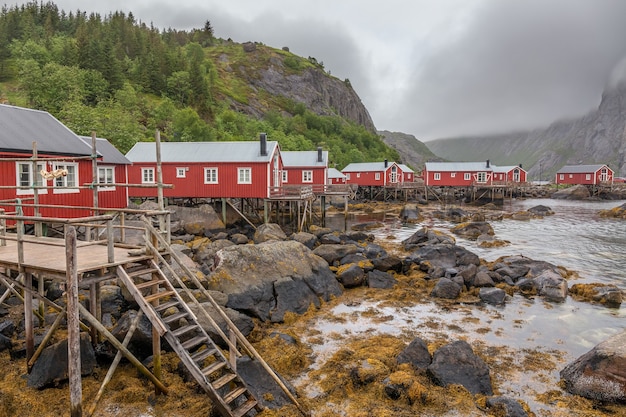 Rosso tradizionale case in legno, rorbuer nel piccolo villaggio di pescatori di Nusfjord, isole Lofoten in Norvegia.