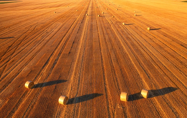 Rotoballe sul campo Vista da un drone