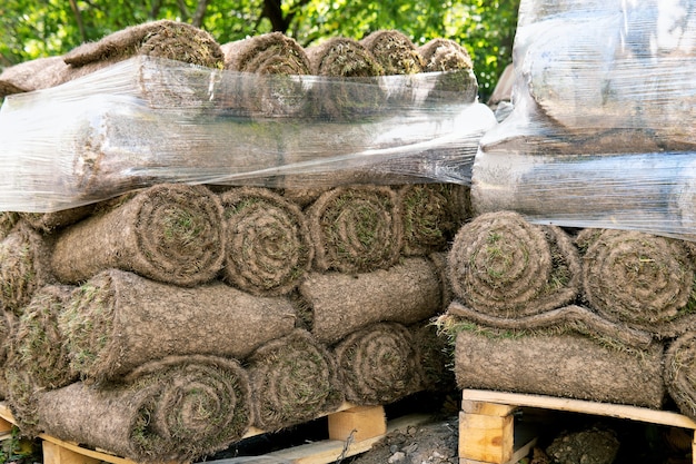 Rotoli di tappeto erboso accatastati sulla strada di Mosca durante le riparazioni stradali in estate