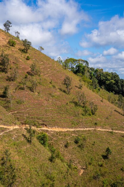 Rotta Ta Nang Phan Dung con pietra miliare tra 3 province attraverso colline erbose e foreste nella riserva naturale di Song Mao