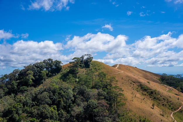 Rotta Ta Nang Phan Dung con pietra miliare tra 3 province attraverso colline erbose e foreste nella riserva naturale di Song Mao