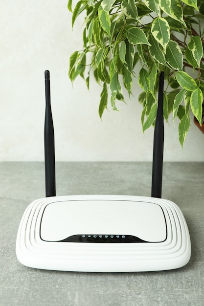 Router Wi-Fi e pianta su un tavolo con texture grigia