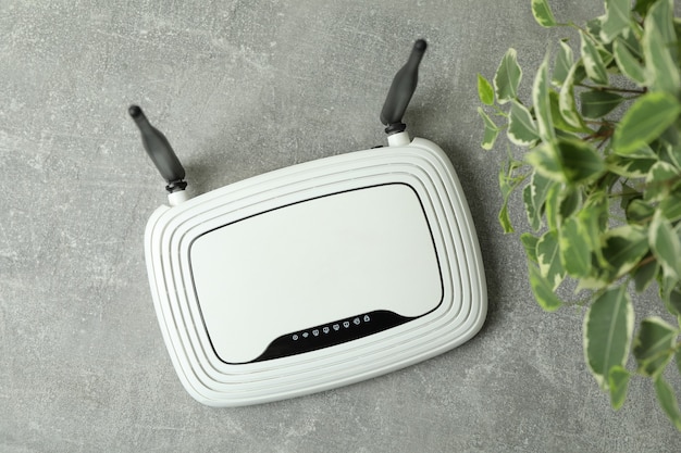 Router Wi-Fi e pianta su un tavolo con texture grigia