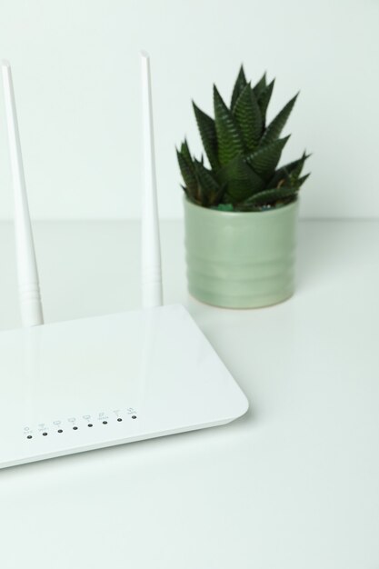 Router Wi-fi e succulento su sfondo bianco