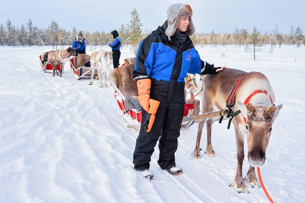 Rovaniemi, Finlandia - 3 marzo 2017: Carovana di slitte trainate da renne nella foresta invernale in Lapponia, Rovaniemi, Finlandia