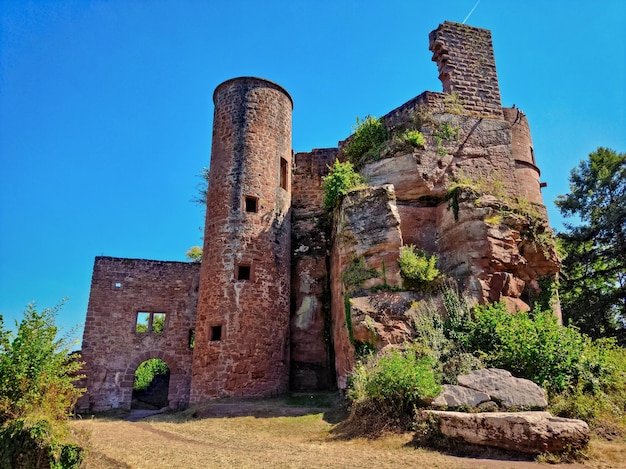 Rovina del castello medievale in Germania