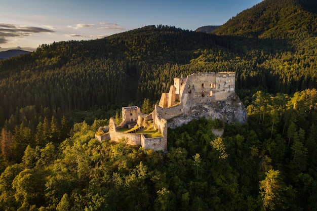 Rovine abbandonate di un castello medievale nella foresta