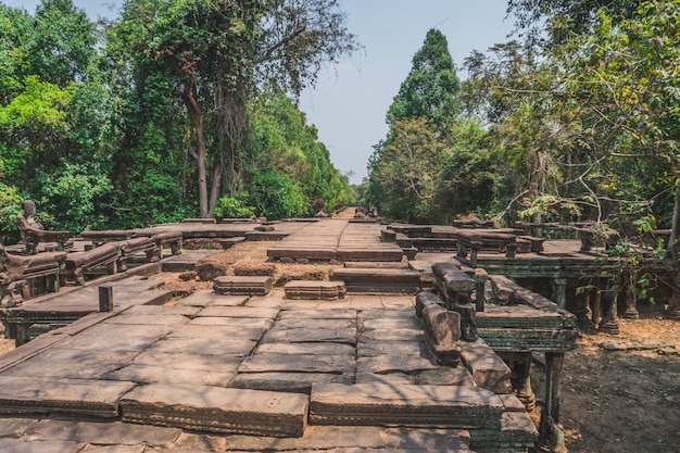 Rovine antiche di Angkor Wat