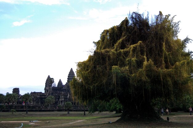 Rovine antiche edificio antico castello Impero Khmer di Angkor Wat per cambogiani e viaggiatori stranieri viaggio visita rispetto pregando nel più grande complesso di templi religiosi a Siem Reap Cambogia