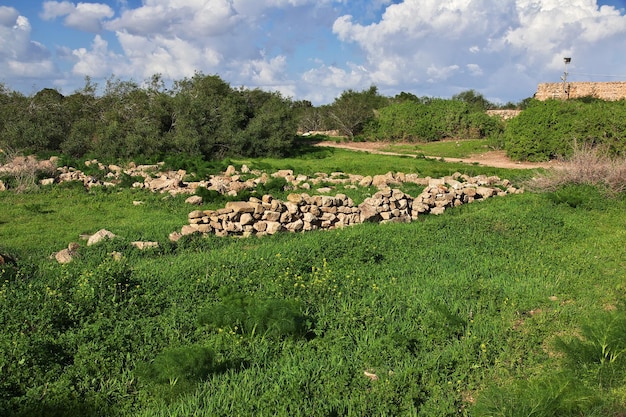 Rovine antiche Salamina, Cipro del Nord