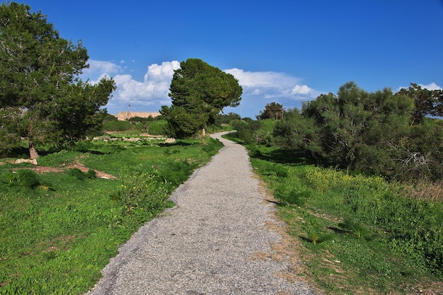 Rovine antiche Salamina, Cipro del Nord