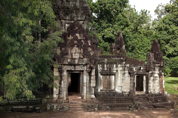 Rovine dei vecchi edifici gettati nella giungla.Cambogia