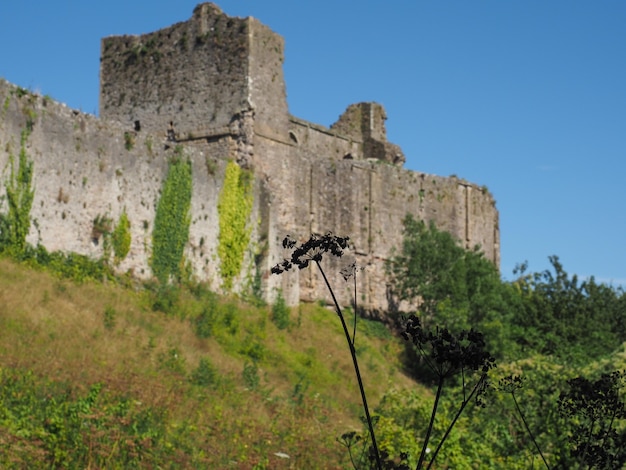 Rovine del castello di Chepstow a Chepstow