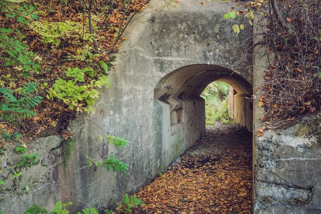 Rovine del forte in russia della prima guerra mondiale