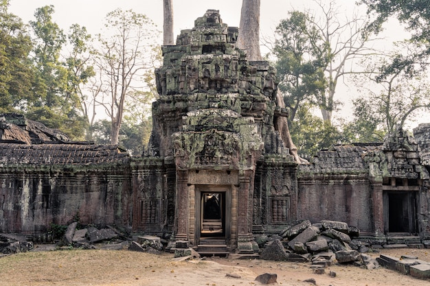 Rovine del tempio di Angkor Wat