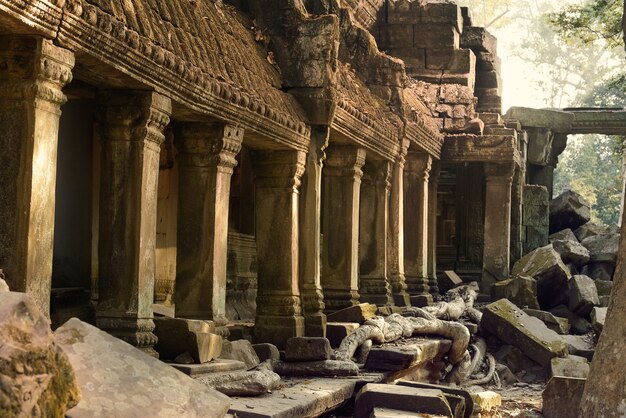 Rovine del tempio di Angkor Wat