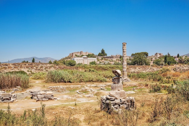 Rovine del tempio di Artemide a Efeso Selcuk nella provincia di Smirne in Turchia