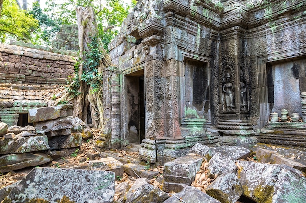 Rovine del tempio di Ta Prohm in Angkor Wat a Siem Reap, Cambogia