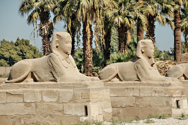 Rovine del tempio egizio di Karnak, il più grande museo all'aperto di Luxor