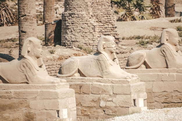 Rovine del tempio egizio di Karnak, il più grande museo all'aperto di Luxor