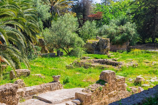 Rovine dell'antica Cartagine