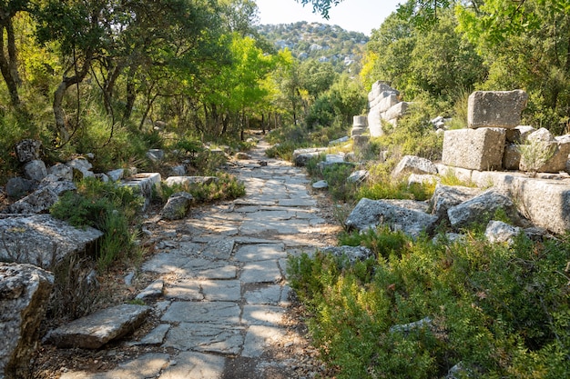 Rovine dell'antica città di Termessos senza turisti vicino ad Antalya in Turchia