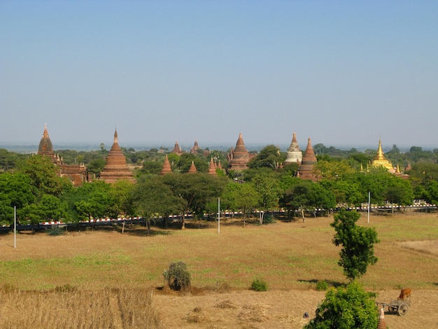 Rovine dell'antica pagoda Bagan Myanmar