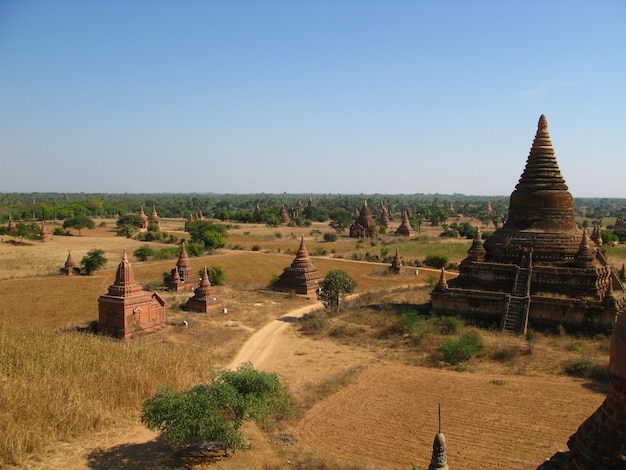 Rovine dell'antica pagoda Bagan Myanmar