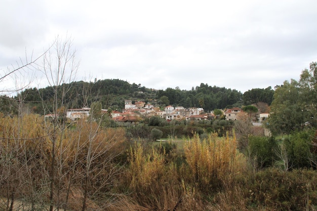 Rovine dell'antica Sparta