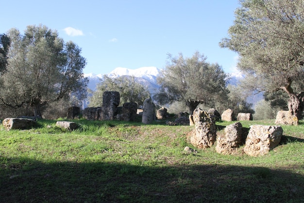 Rovine dell'antica Sparta