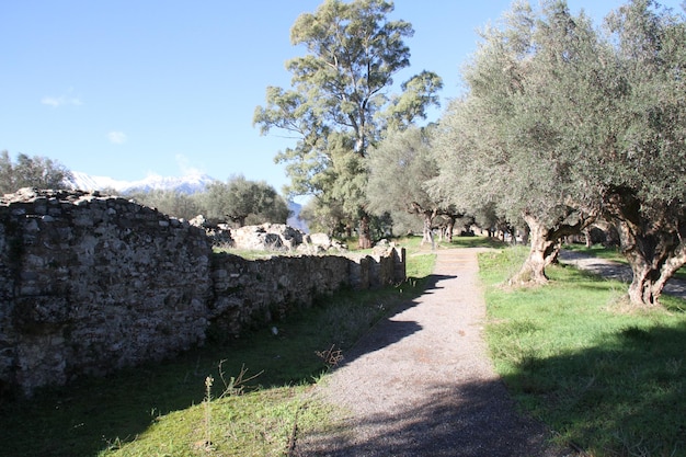 Rovine dell'antica Sparta