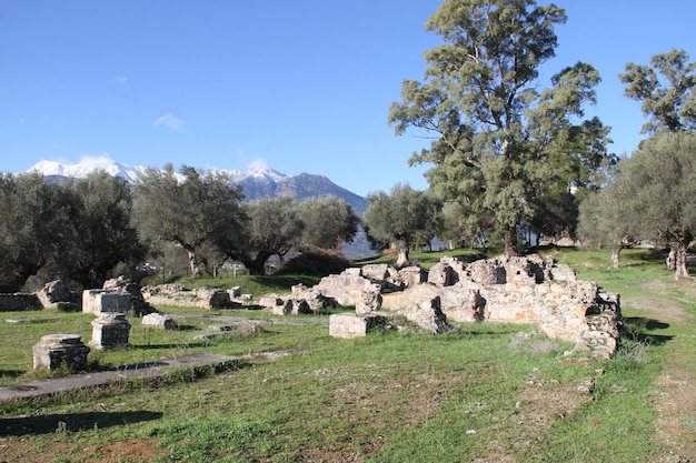 Rovine dell'antica Sparta