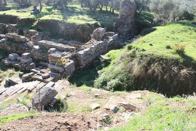 Rovine dell'antica Sparta