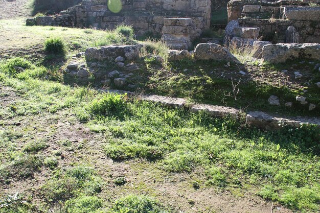 Rovine dell'antica Sparta