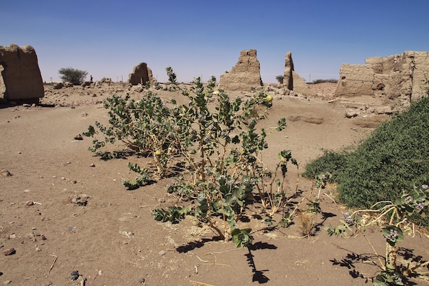 Rovine dell'antico tempio egizio sull'isola di Sai, Nubia, Sudan