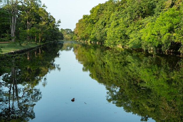 Rovine della città antica Anuradhapura, Sri Lanka.